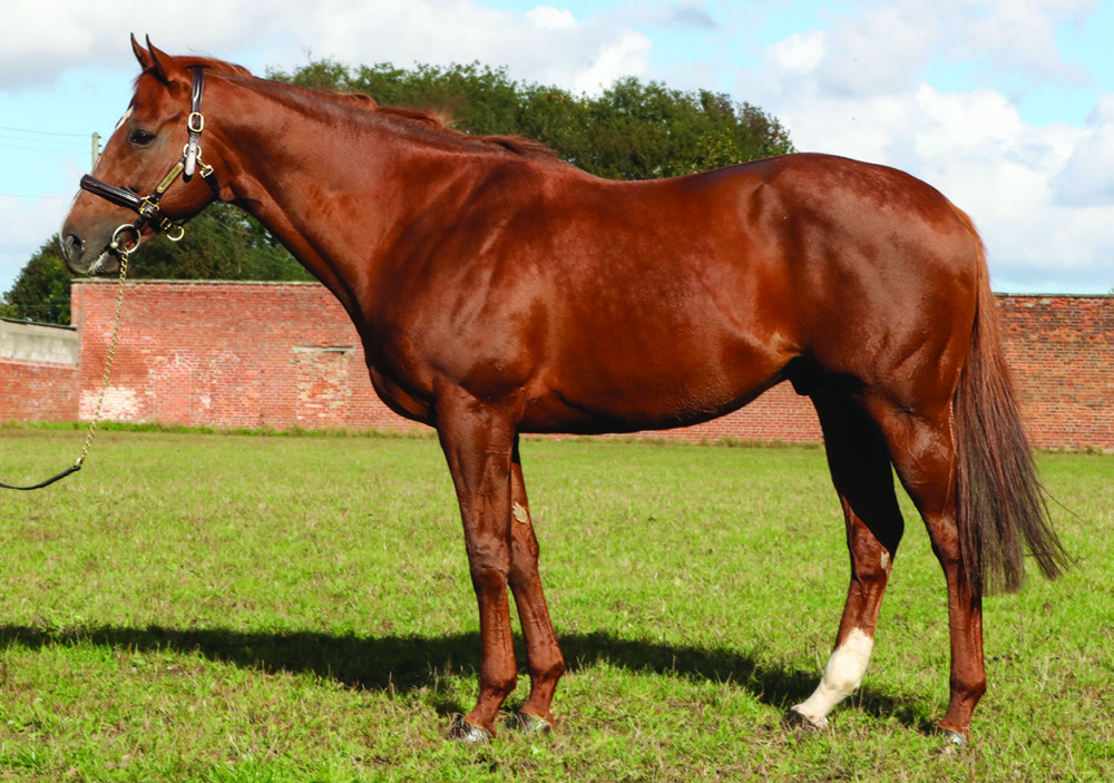 Midnight Sands_Big.jpg