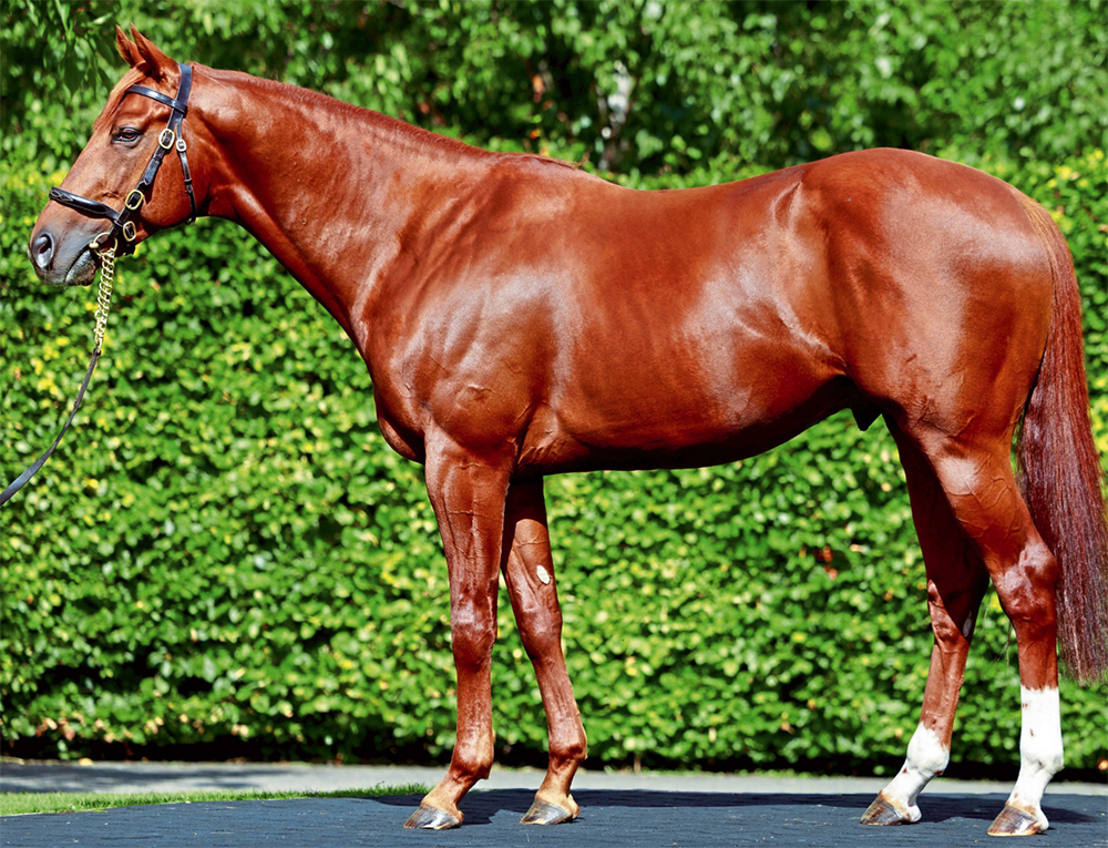 Isaac Shelby_Big.jpg