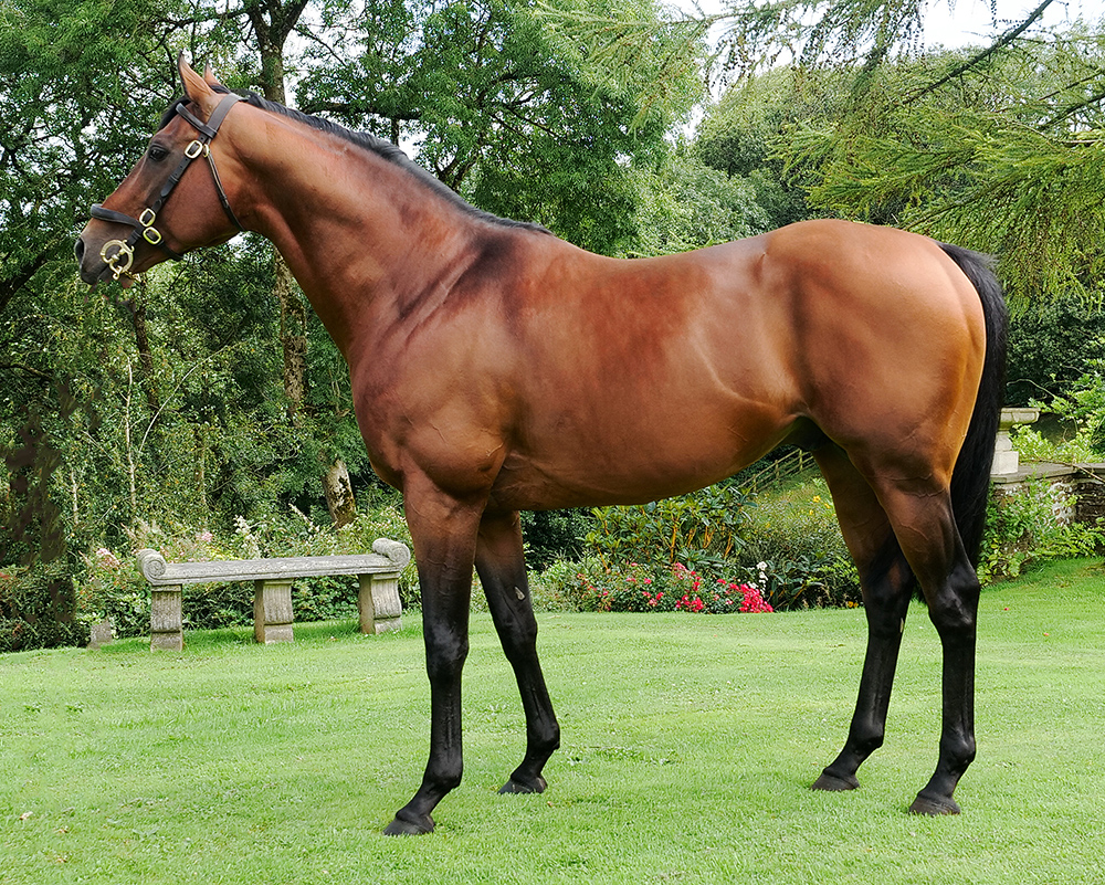 Cannock Chase_big.jpg