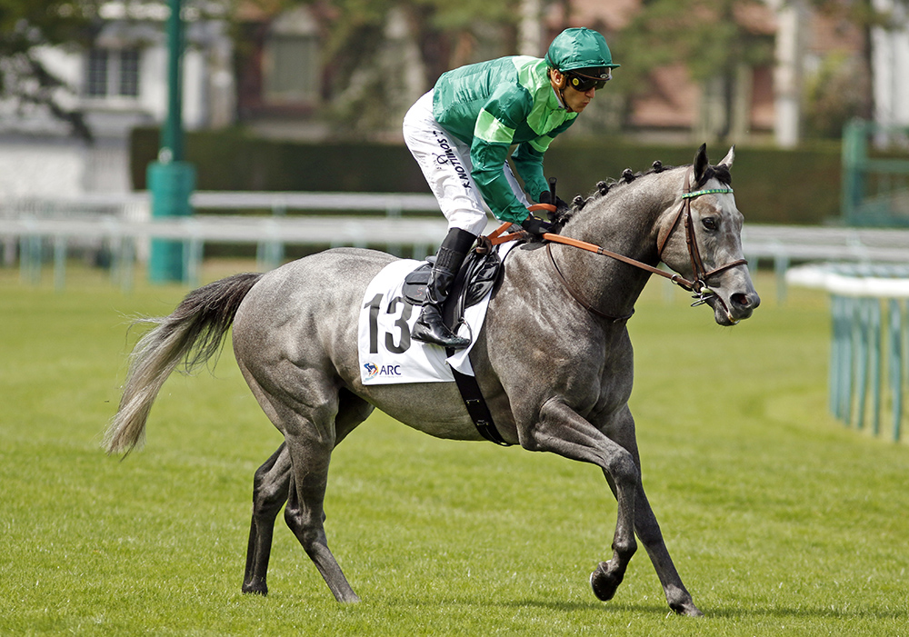 Havana Cigar_Big.jpg