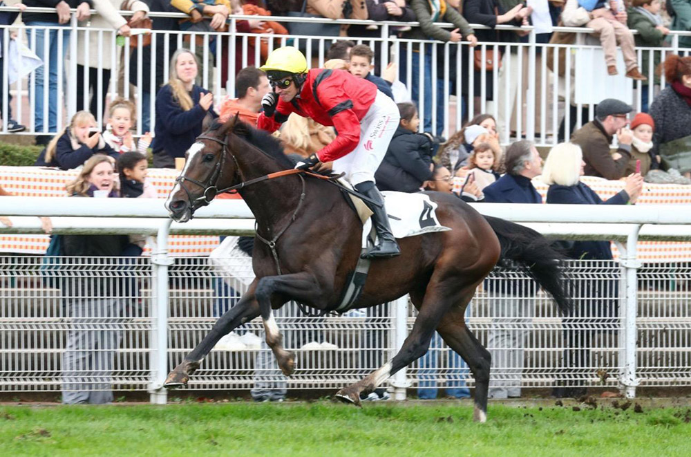 The three-year-old Léopard Du Berlais proved himself the best of his generation when winning the Grade 1 Prix Cambacères at Auteuil