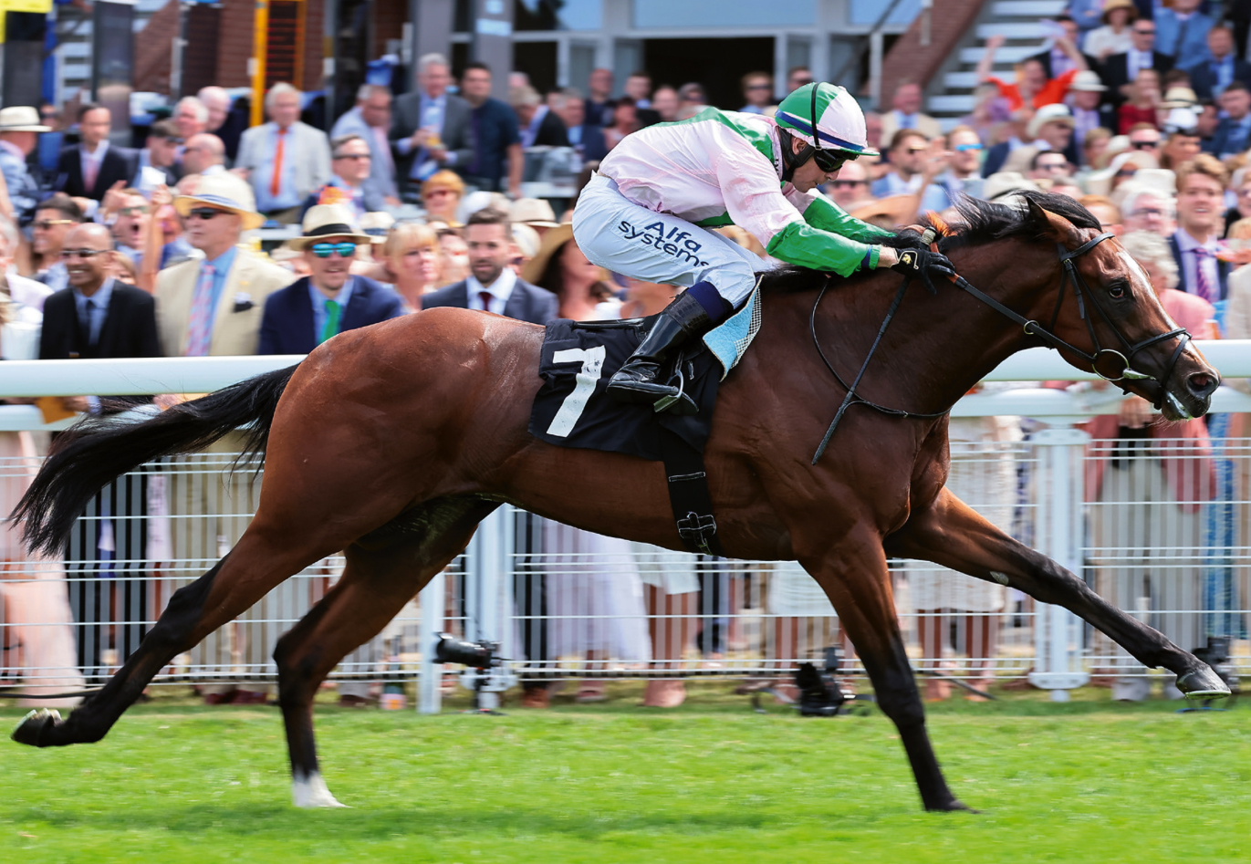 Royal Scotsman_Big.jpg