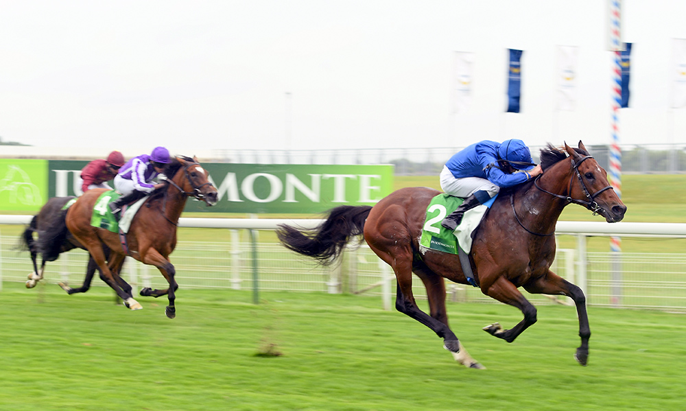 Ghaiyyath records a career best Timeform rating of 133+ for his demolition of the field in the Group 1 Juddmonte International Stakes
