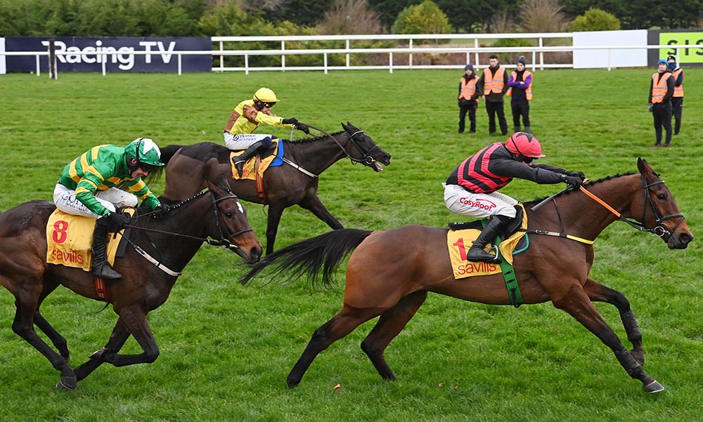 Affordable Fury (by Affinisea), wins the Grade 1 Savills Chase at Leopardstown from I Am Maximus and Galopin Des Champs
