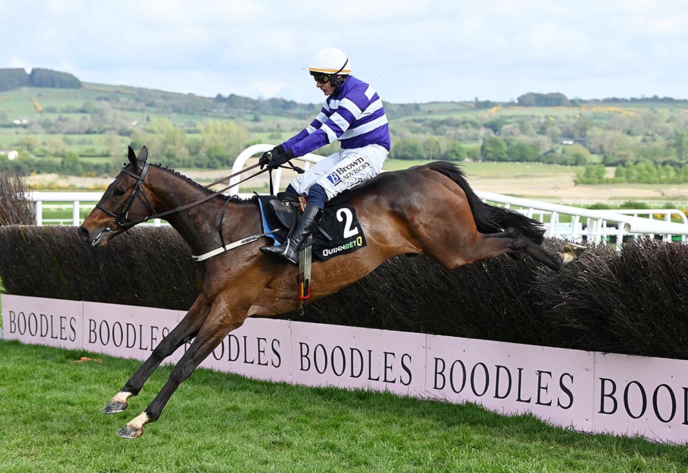 Funiculi Funicula (by Storm The Stars), is now rated 149 over fences, after winning a Listed novice handicap at the Punchestown Festival
