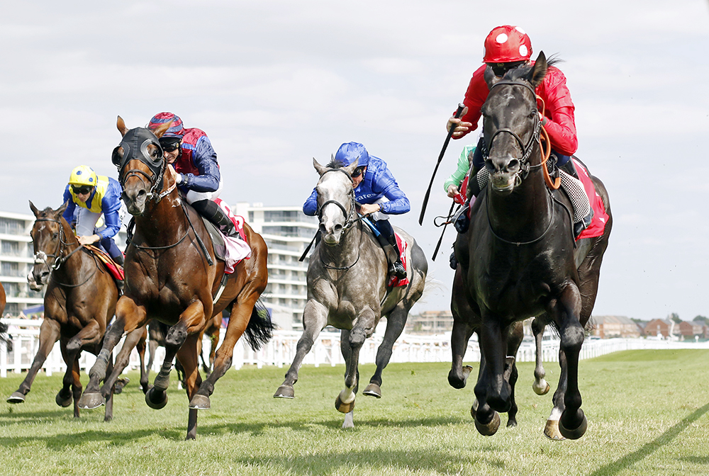 Recent Group 2 Hungerford Stakes winner, Coppull (right), also won the Group 2 Richmond Stakes as a 2yo for his sire Bated Breath
